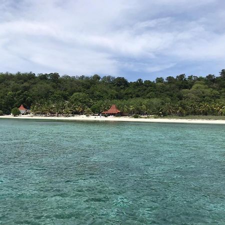 Eco Dive Resort Alycastre Maumere Exteriör bild