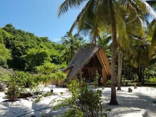 Eco Dive Resort Alycastre Maumere Exteriör bild