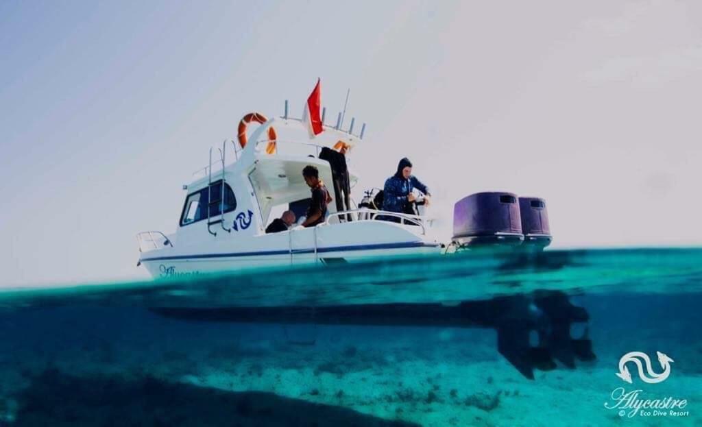 Eco Dive Resort Alycastre Maumere Exteriör bild