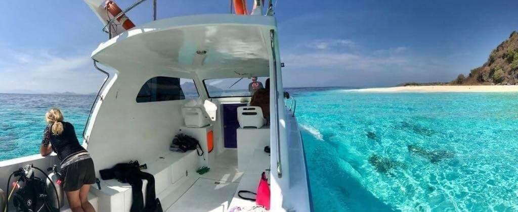 Eco Dive Resort Alycastre Maumere Exteriör bild